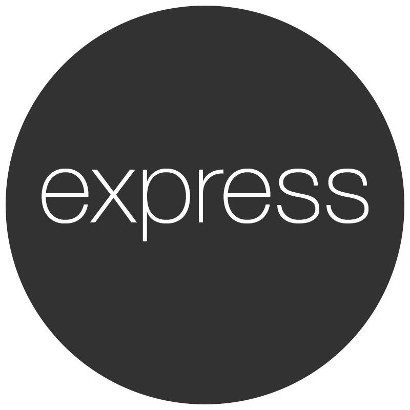 Express.js Icon